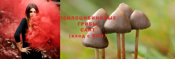герыч Вязьма